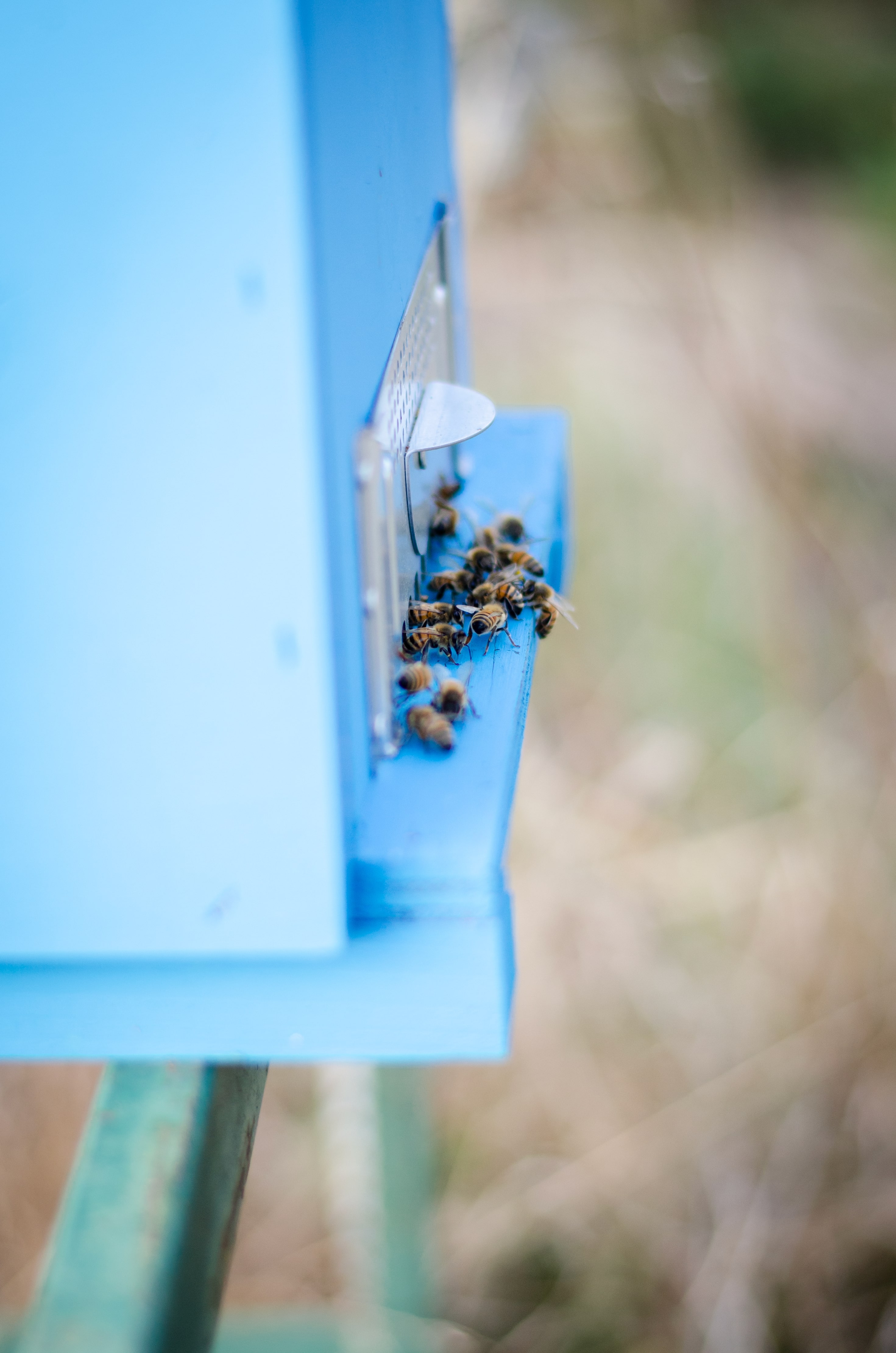 Cascina La Pavona panorama
